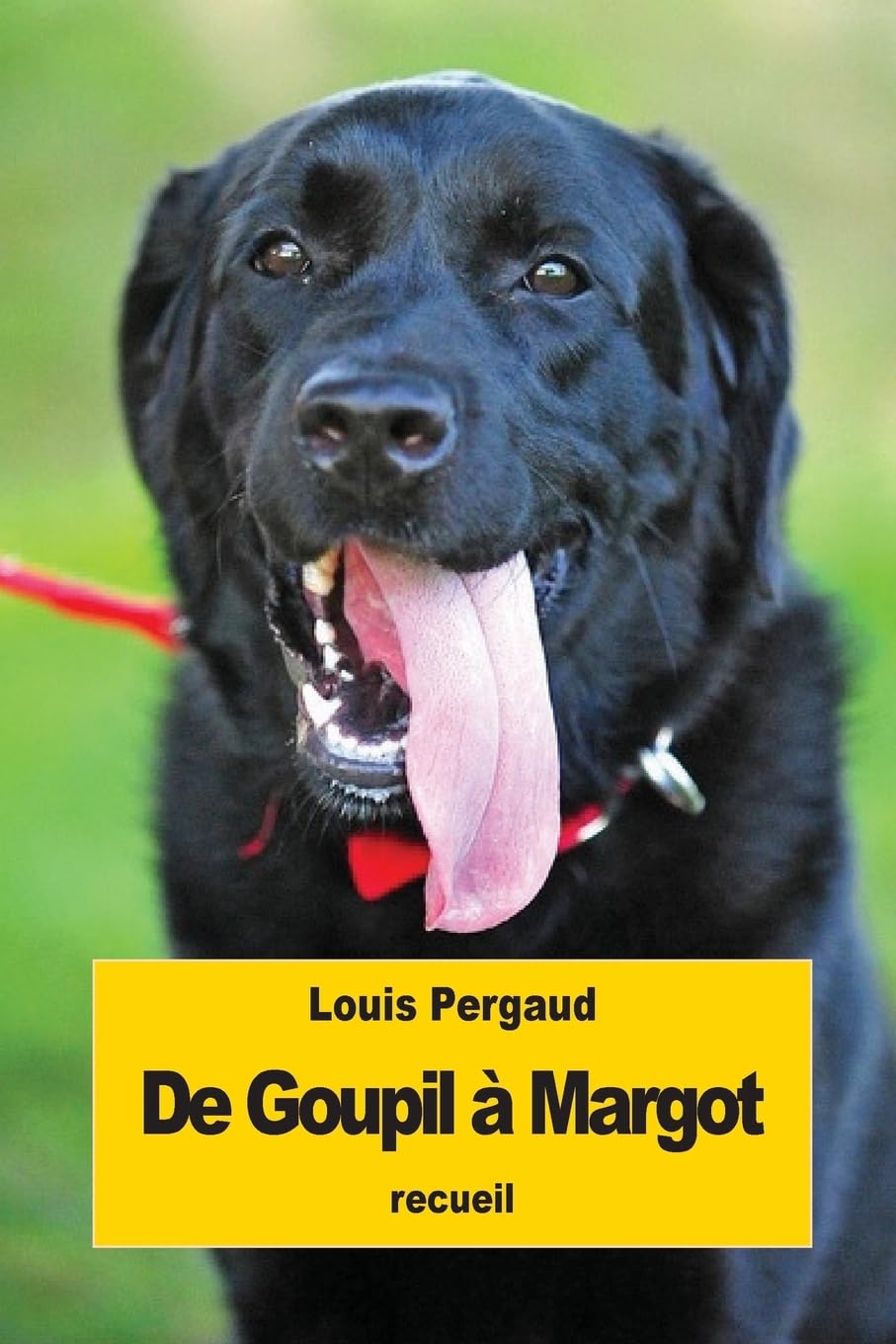 De Goupil à Margot: Histoires de bêtes Essays & Short Stories