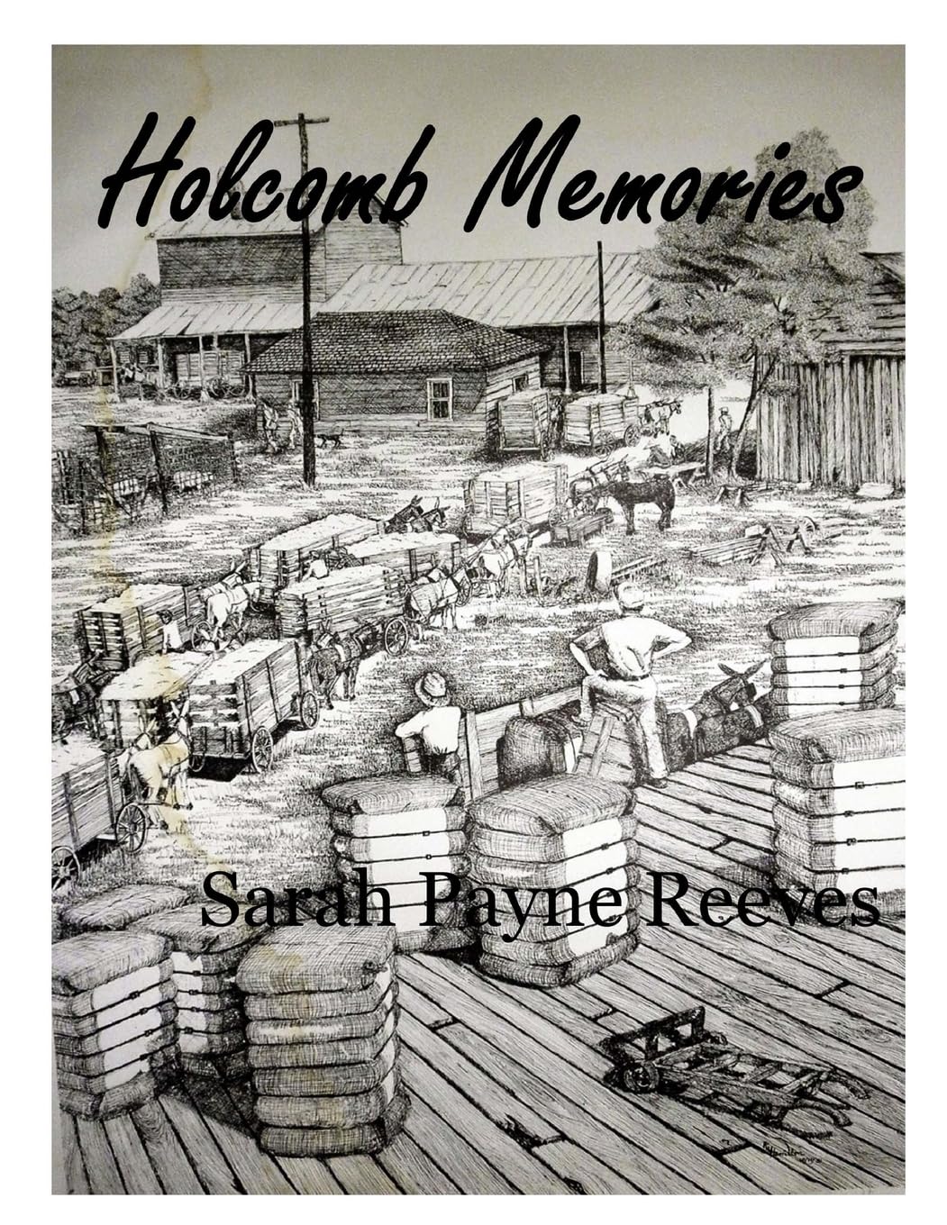 Holcomb Memories: Tigers, Trains and Treasures Politics & History