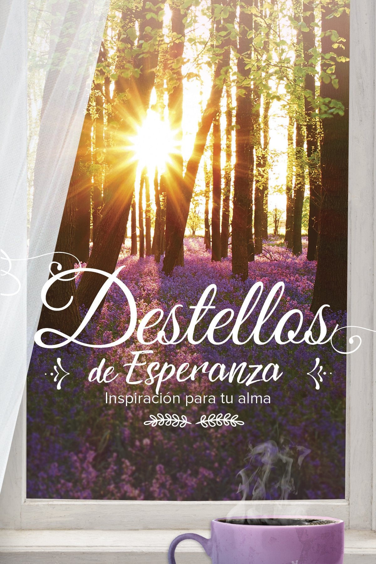 Destellos de Esperanza: Inspiración Para Tu Alma: Inspiración para tu alma/ Inspiration For Your Soul Social Sciences