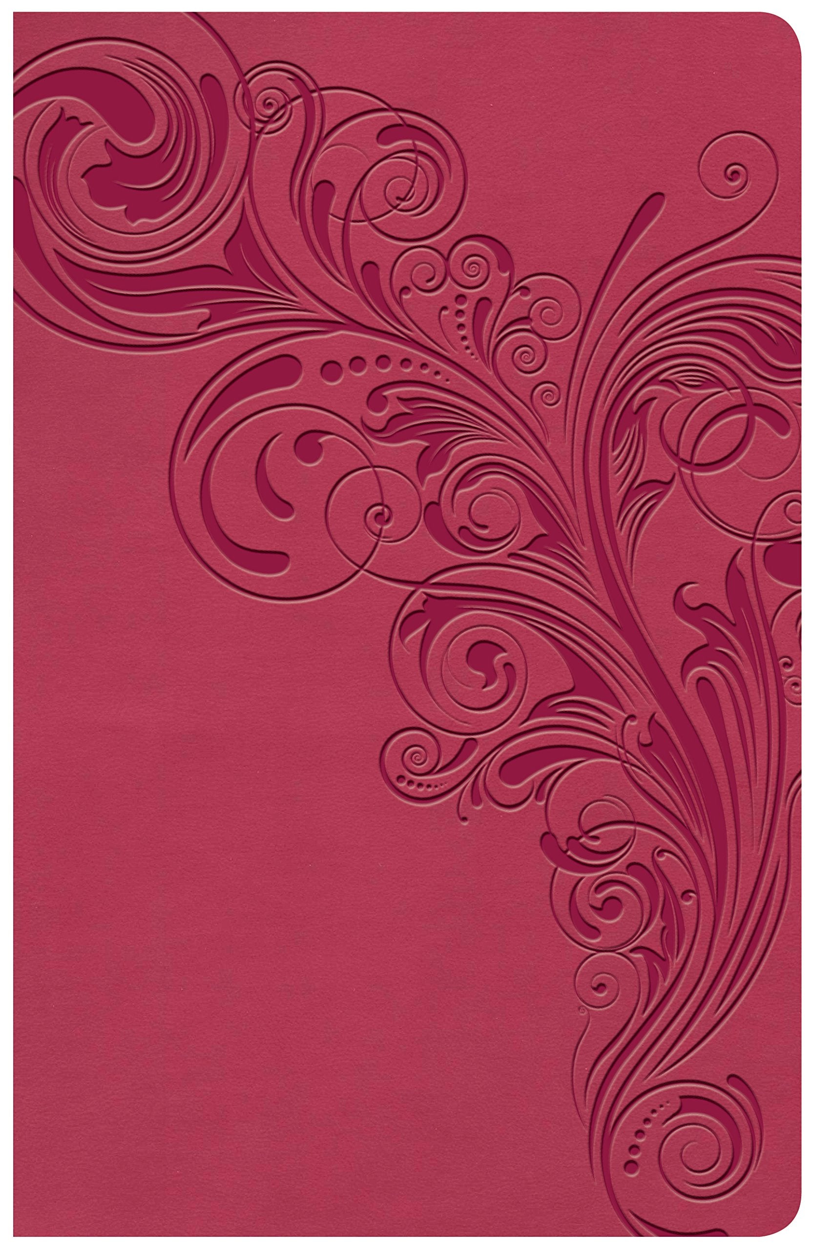 KJV Large Print Personal Size Reference Bible, Pink Leathertouch Indexed Film, Art & Culture