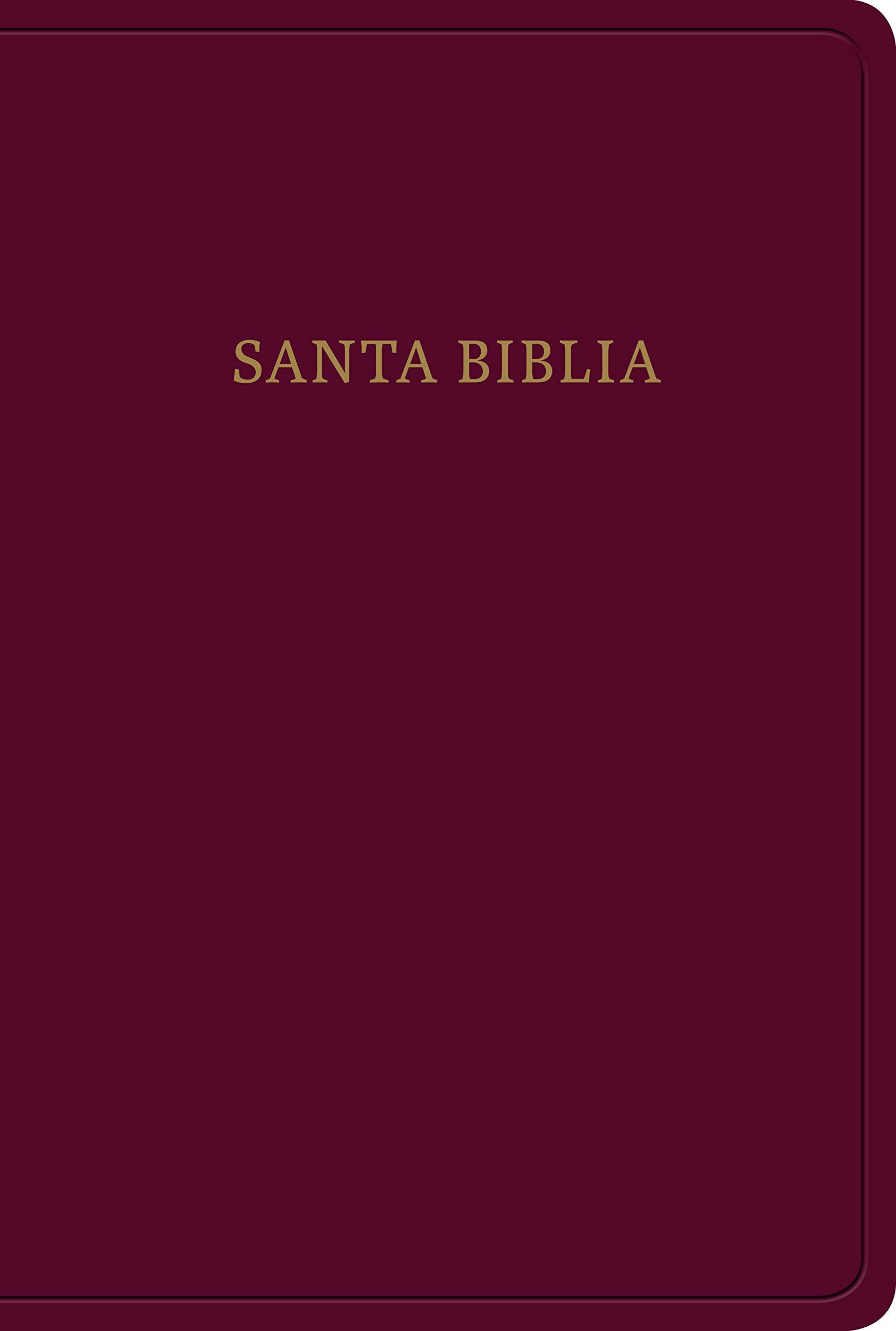 Santa biblia/ Holy Bible: RVR 1960 Biblia letra grande tamaño manual, borgoña imitación piel/ Burgundy Imitation Leather, Hand Size Giant Print Bible book