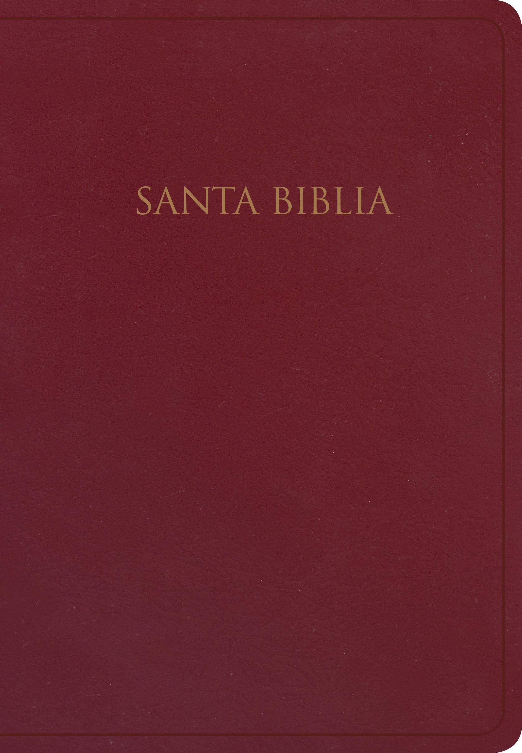 Rvr 1960 Biblia Para Regalos Y Premios, Borgoña Imitación Piel: RVR 1960 biblia para regalos y premios, borgoña imitación piel/ Gift and Award Bible, Imitation Leather, Burgundy Film, Art & Culture