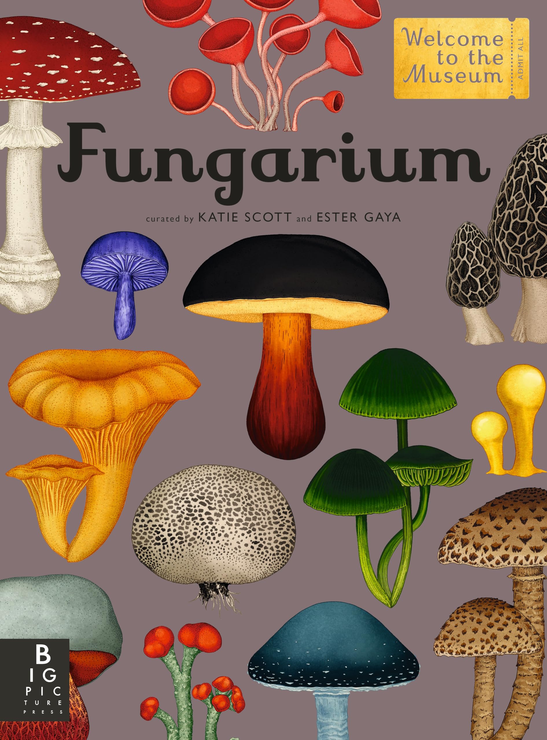 Fungarium: Welcome to the Museum Non-fiction