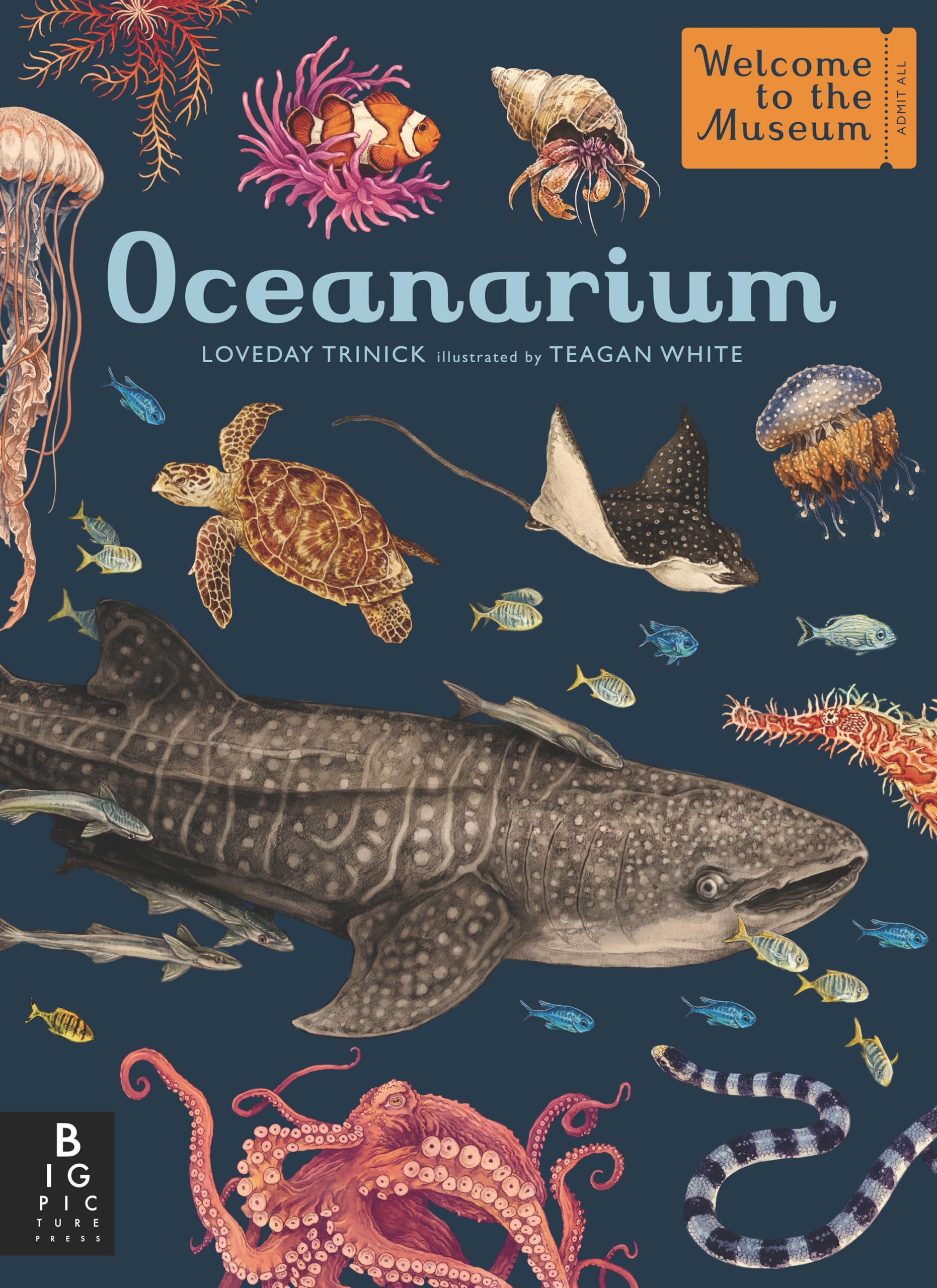 Oceanarium: Welcome to the Museum Non-fiction
