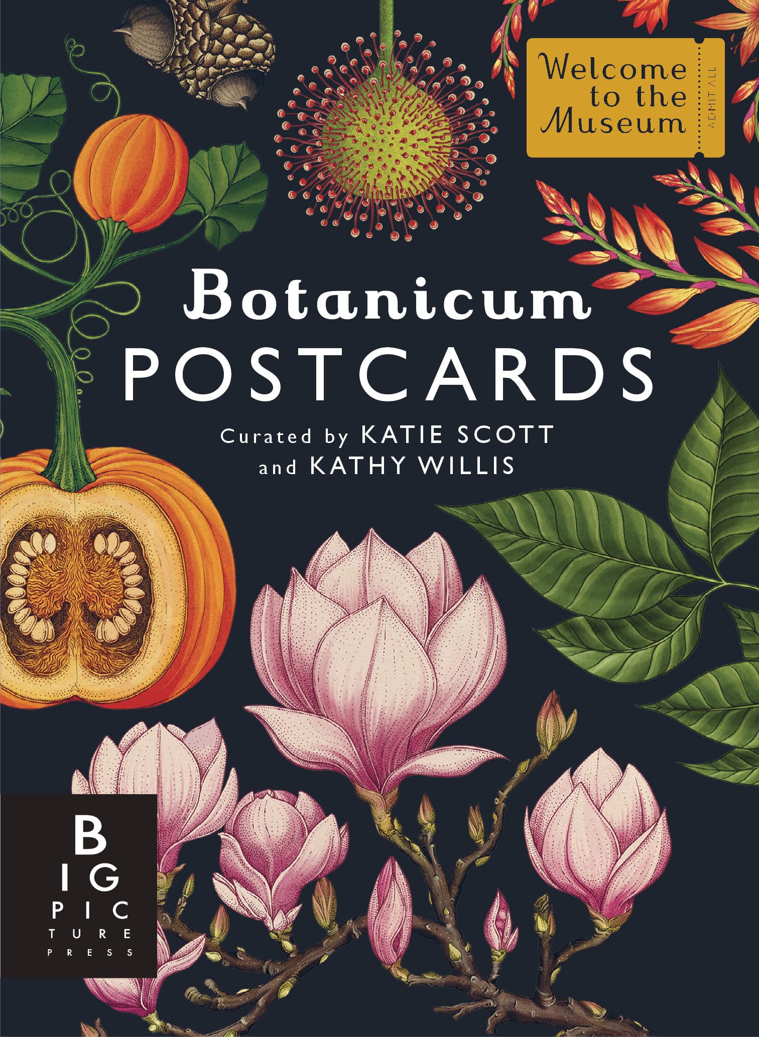 Botanicum Postcard Set (Welcome to the Museum) Books