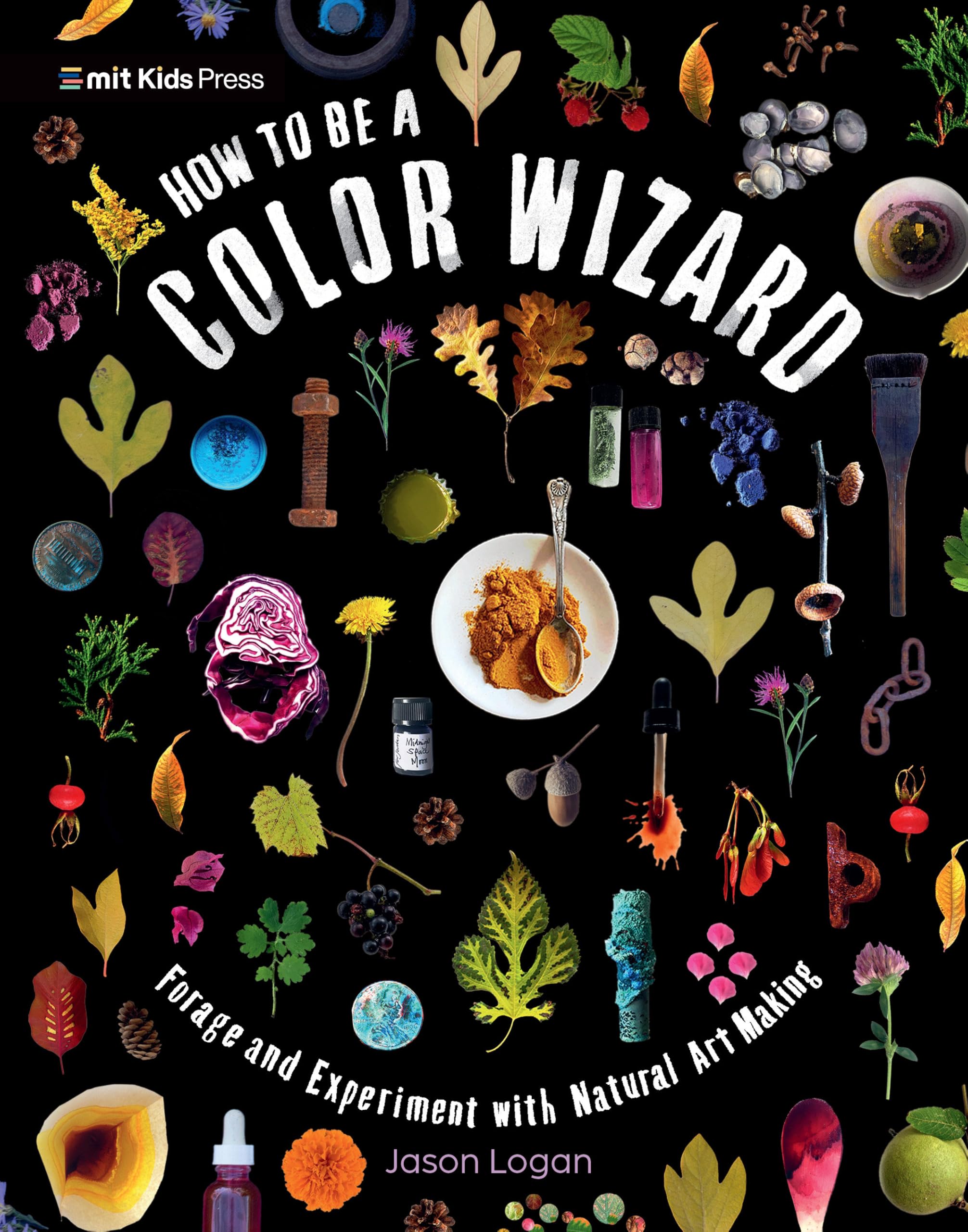 How to Be a Color Wizard: Forage and Experiment With Natural Art Making Non-fiction
