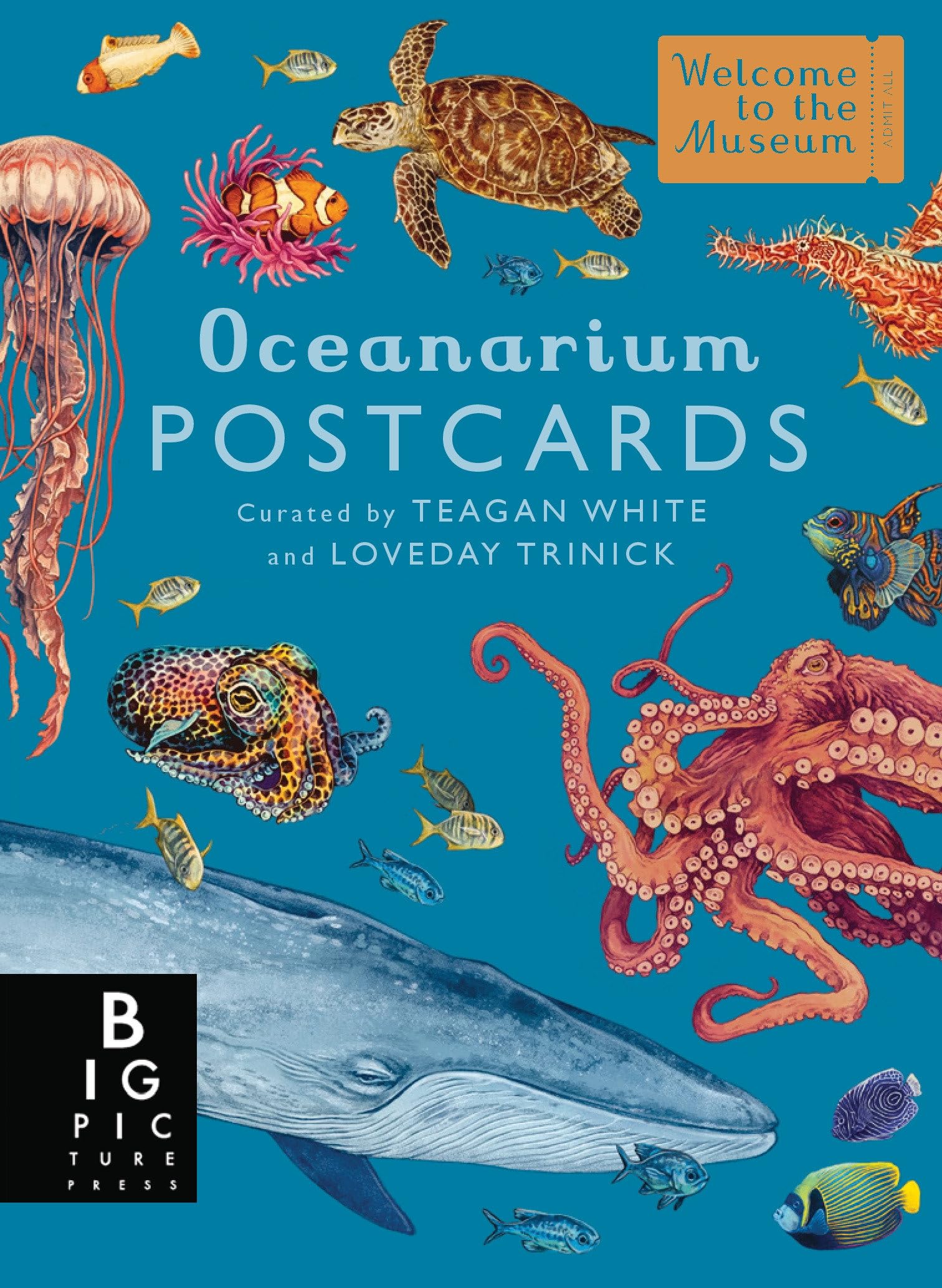 Oceanarium Postcard Box Set (Welcome to the Museum) Geology & Geography