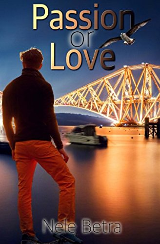 Passion or Love (Friendships, Band 3) LGBTQ+