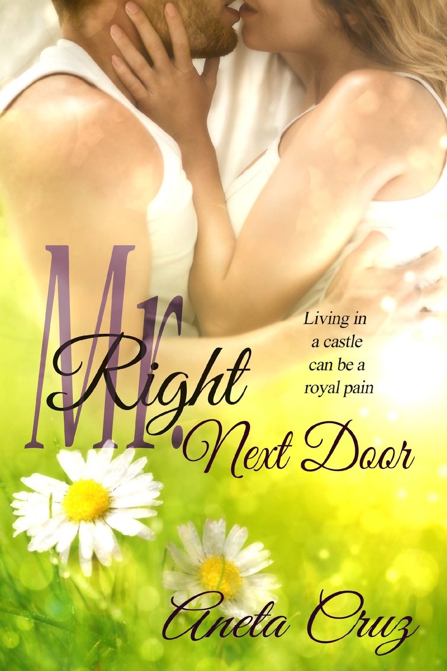 Mr. Right Next Door (The Mr. Right Trilogy, Band 2) Hobbies & Crafts