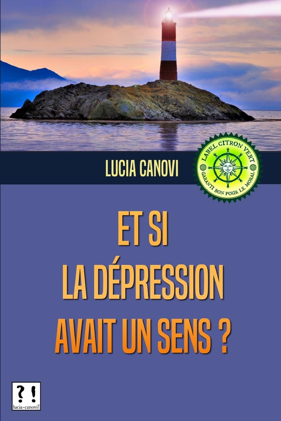 Et si la dépression avait un sens ? book
