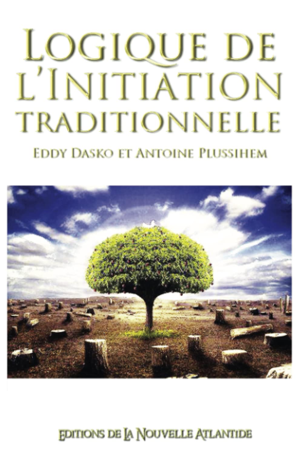 Product Image: Logique de L'Initiation traditionnelle