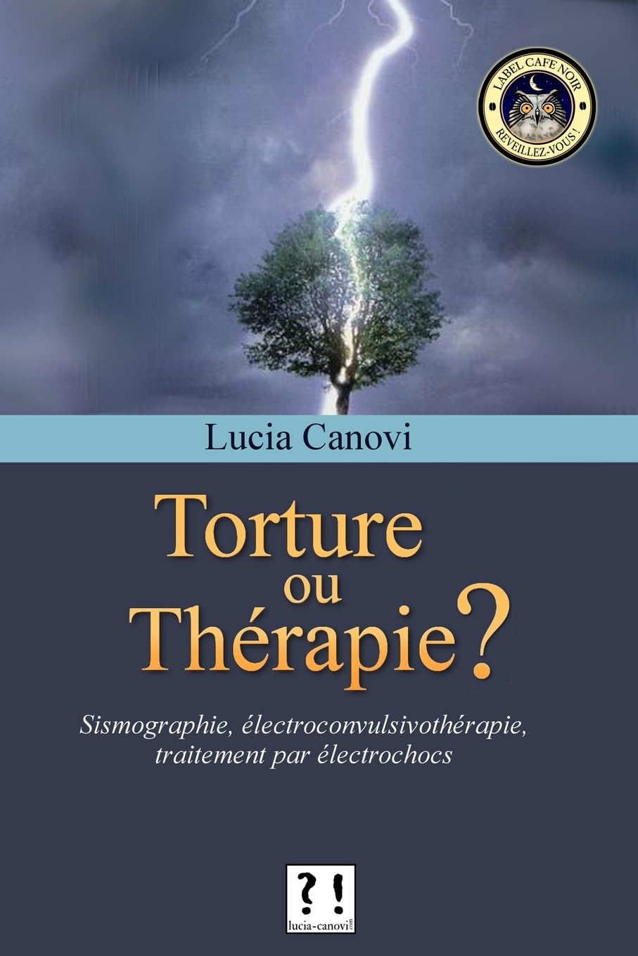 Torture ou thérapie ?: Sismographie, électroconvulsivothérapie, traitement par électrochocs book
