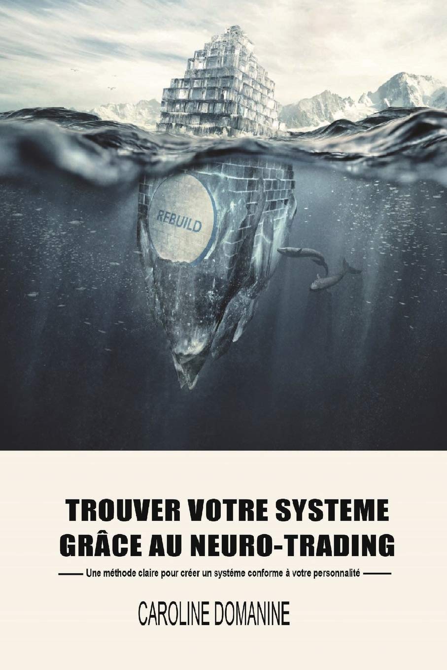 Trouvez votre systeme de trading grace au Neuro-trading: Une méthode claire pour créer un systeme conforme à votre personnalité Business, Finance & Career