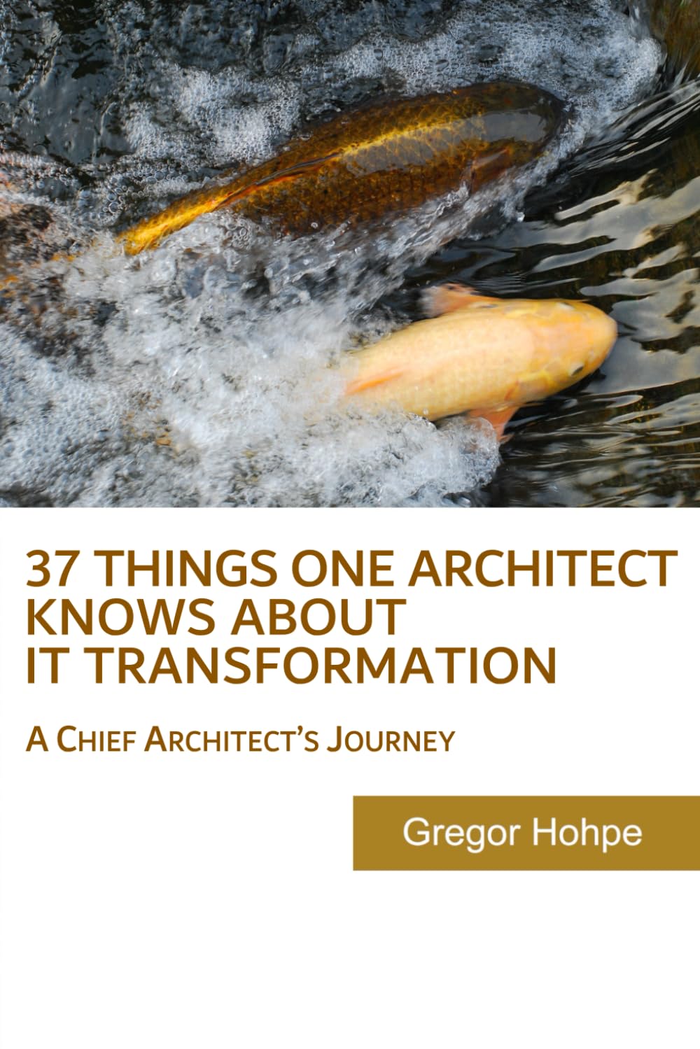 37 Things One Architect Knows About IT Transformation: A Chief Architect's Journey Computer Science