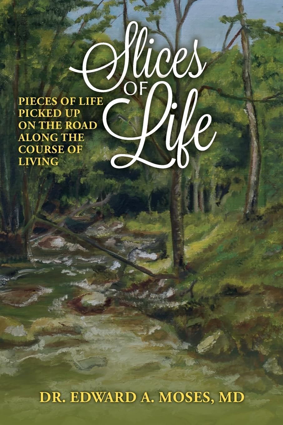 Slices of Life: Pieces of Life Picked Up on the Road Along the Course of Living (Life's Journey, Band 2) Religion & Esotericism