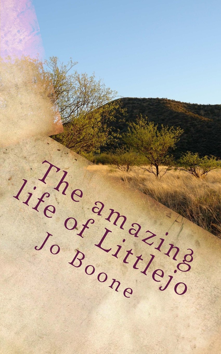 The amazing Weird Life of Littlejo Books