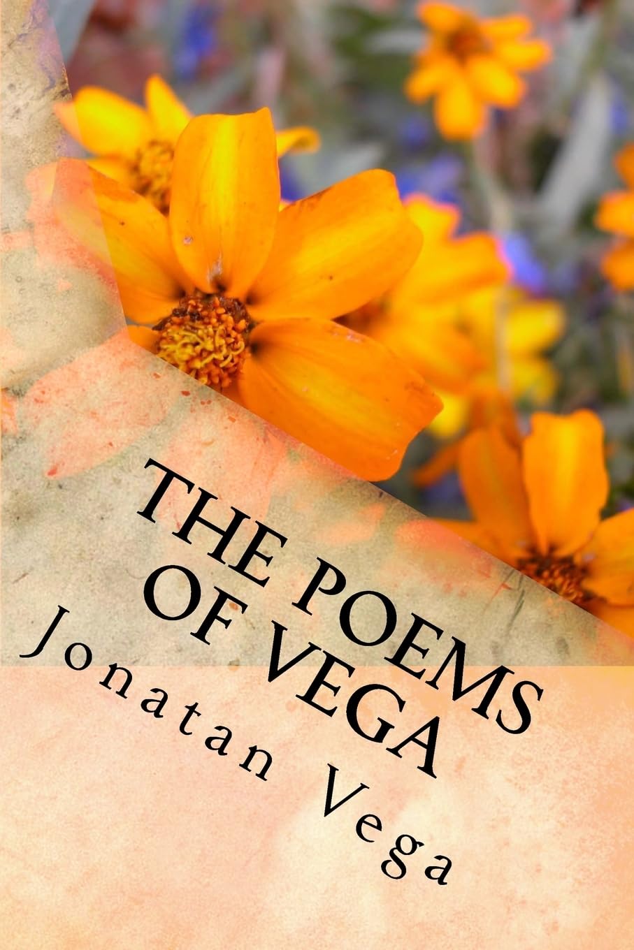 The Poems Of Vega Poetry