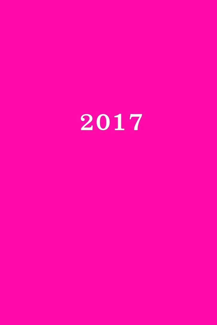 2017: Kalender/Agenda: 1 week op 2 pagina's, Formaat ca. A5, Kaft pink Business, Finance & Career