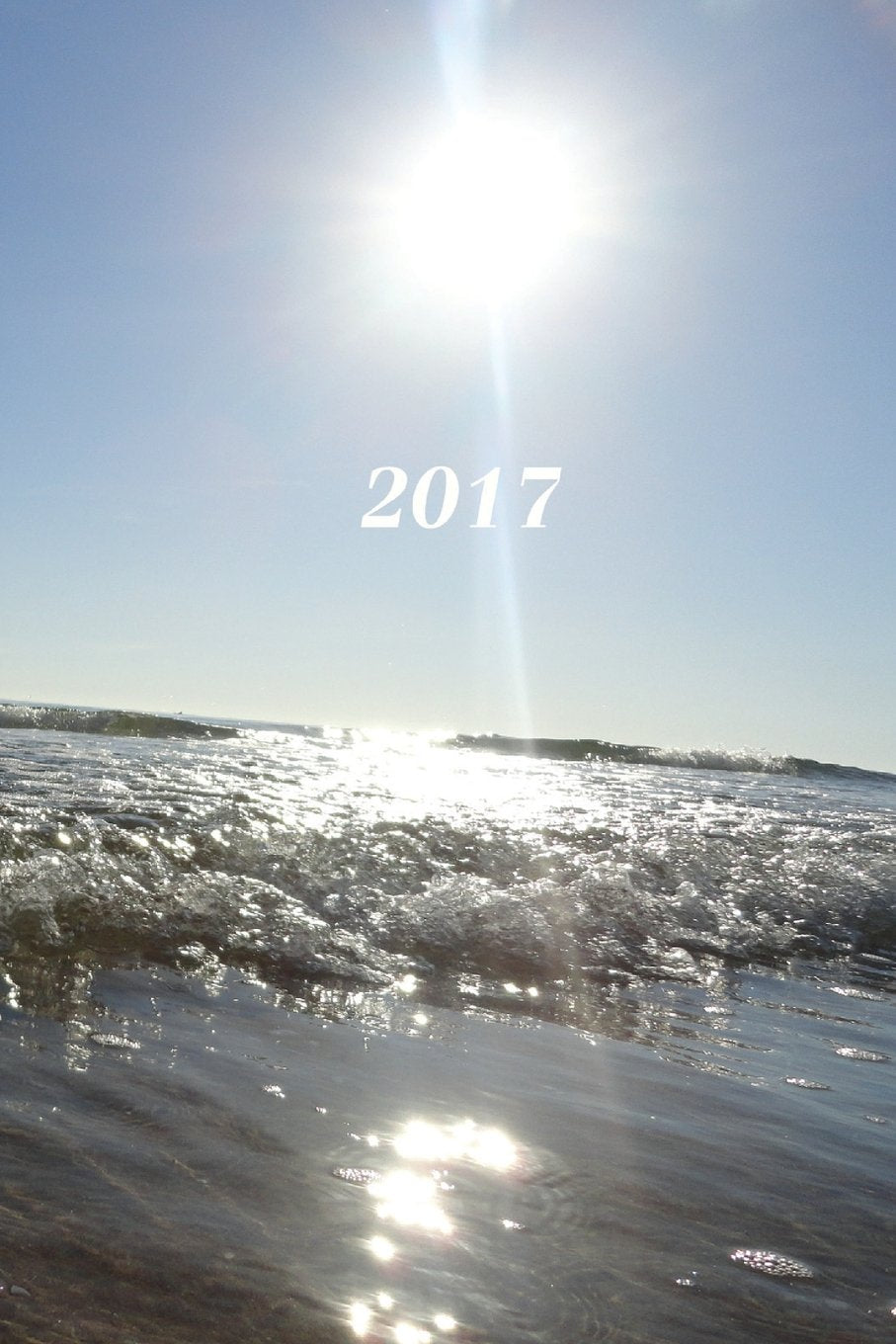 2017: Kalender/Agenda: 1 week op 2 pagina's, Formaat ca. A5, Kaft Zee Business, Finance & Career