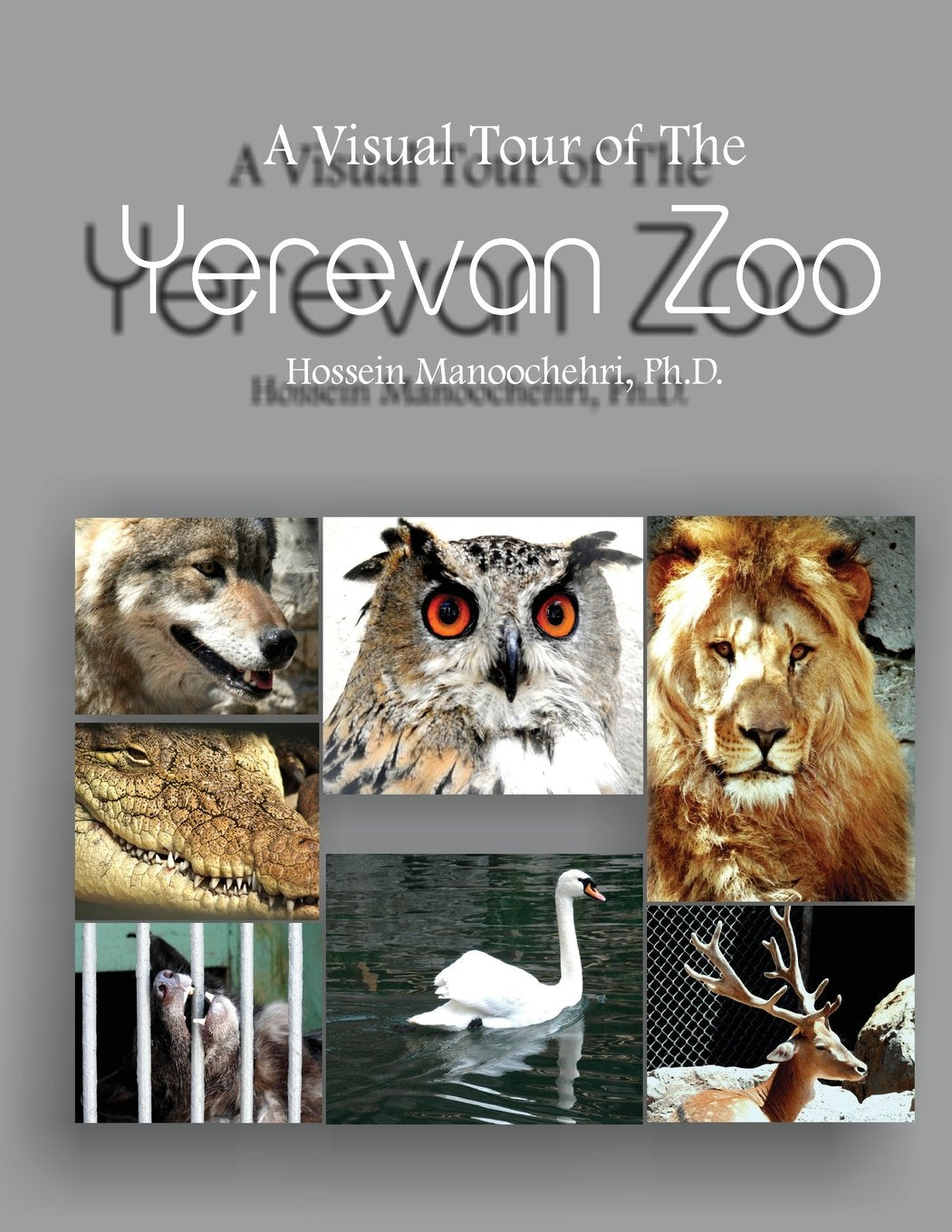 Yerevan Zoo: A Visual Tour of The Film, Art & Culture