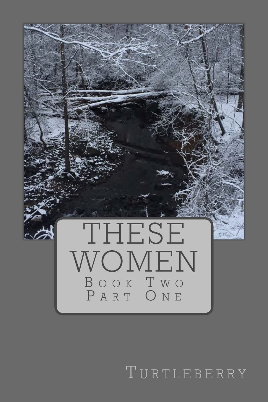 These Women - Book Two - Part One (These Women - Paperback, Band 3) Contemporary Romance