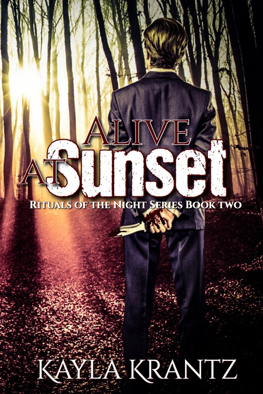 Alive at Sunset (Rituals of the Night, Band 2) Contemporary literature