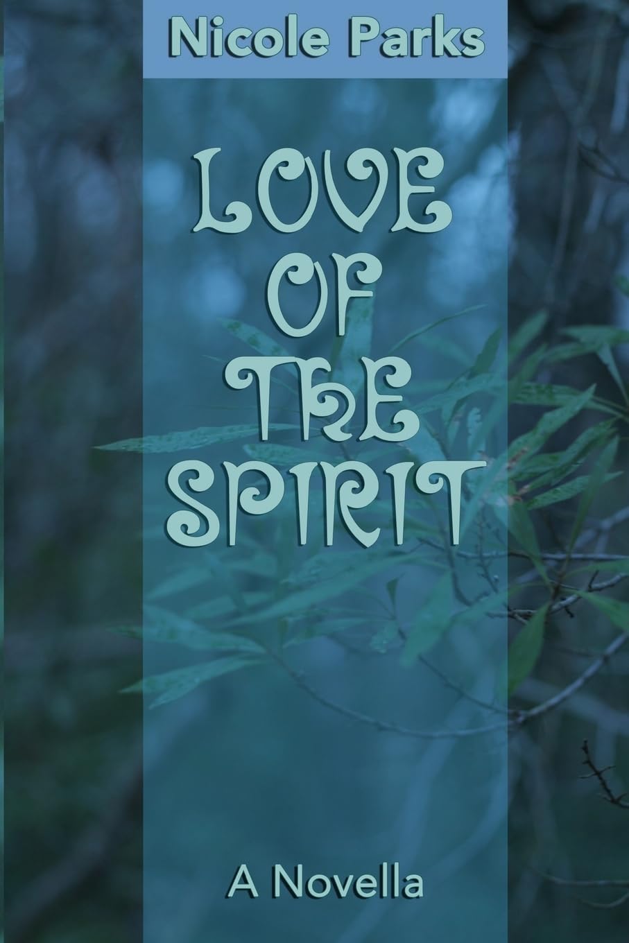 Love of the Spirit: A Novella Contemporary Romance
