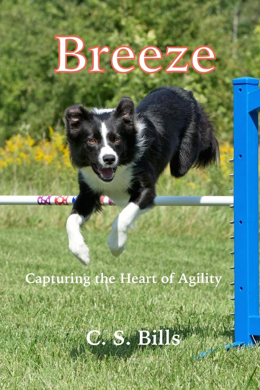 Breeze (Capturing the Heart of Dog Agility, Band 1) Contemporary literature