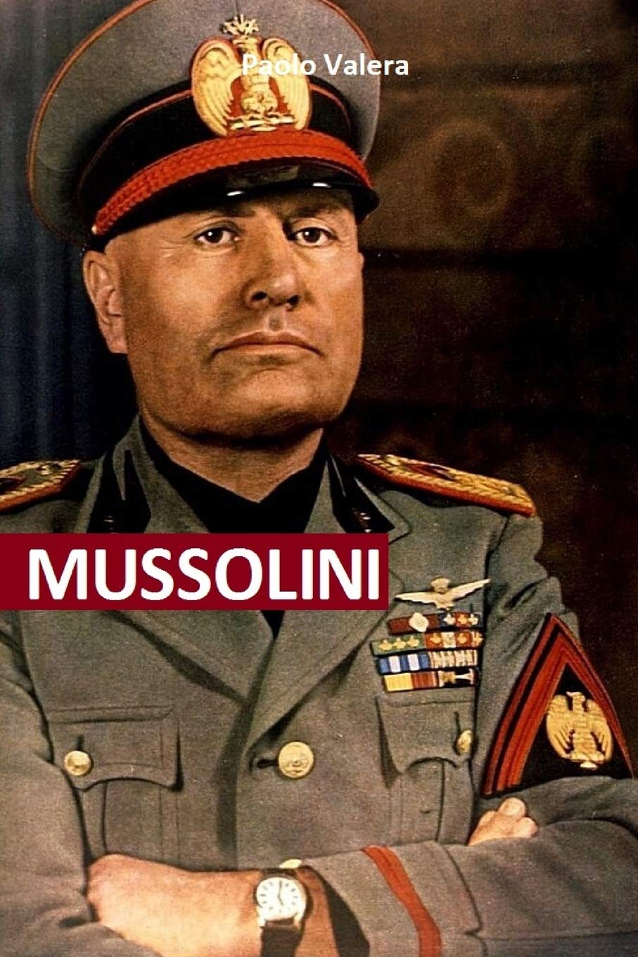 Mussolini: Dal giornalismo a Capo di Stato. Gli articoli, i proclami, gli interventi alla Camera, gli avvenimenti che condussero alla nascita del Partito Naz Fascista e l’ascesa al potere book