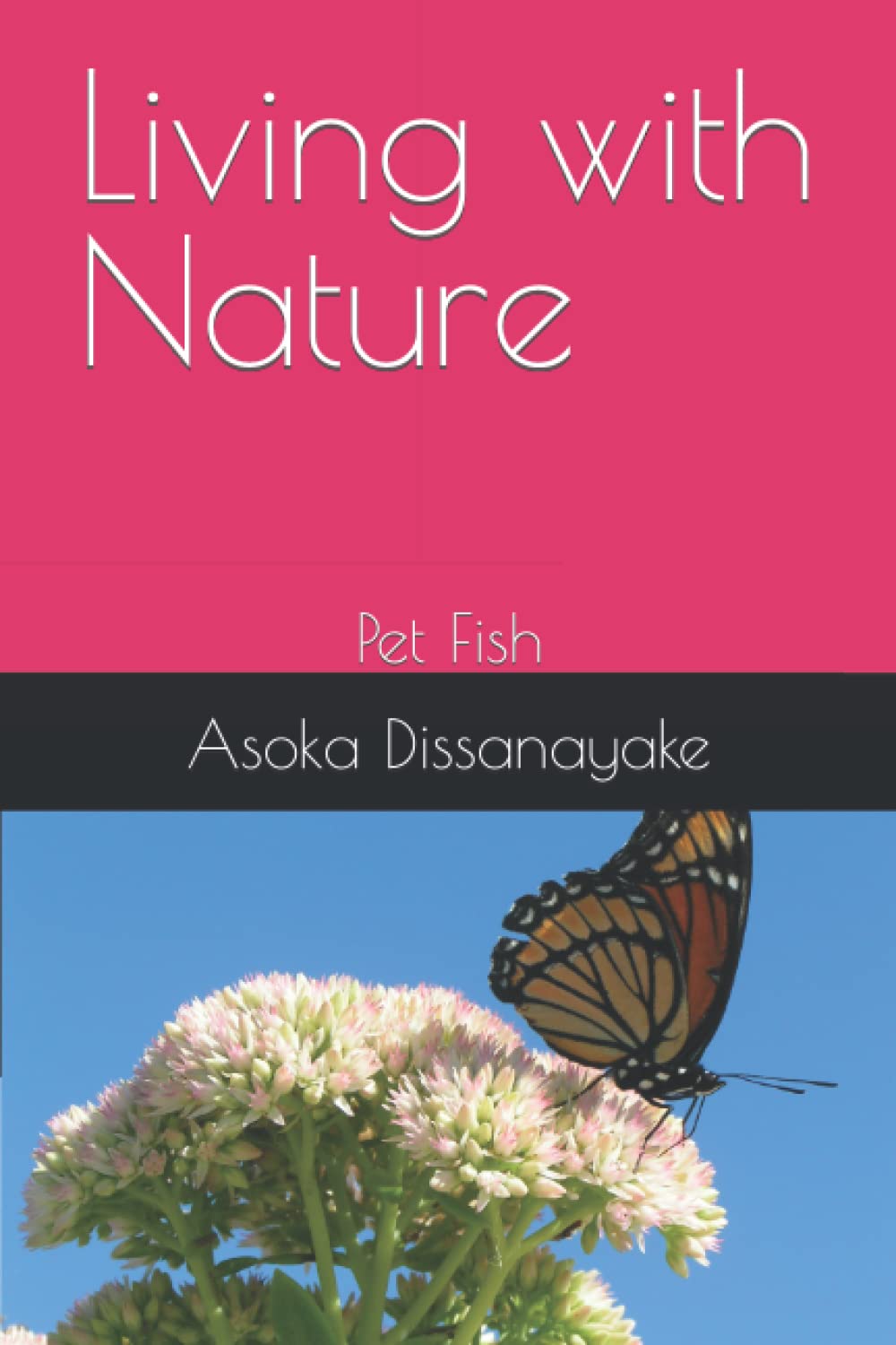 Living with Nature: Pet Fish Mathematics