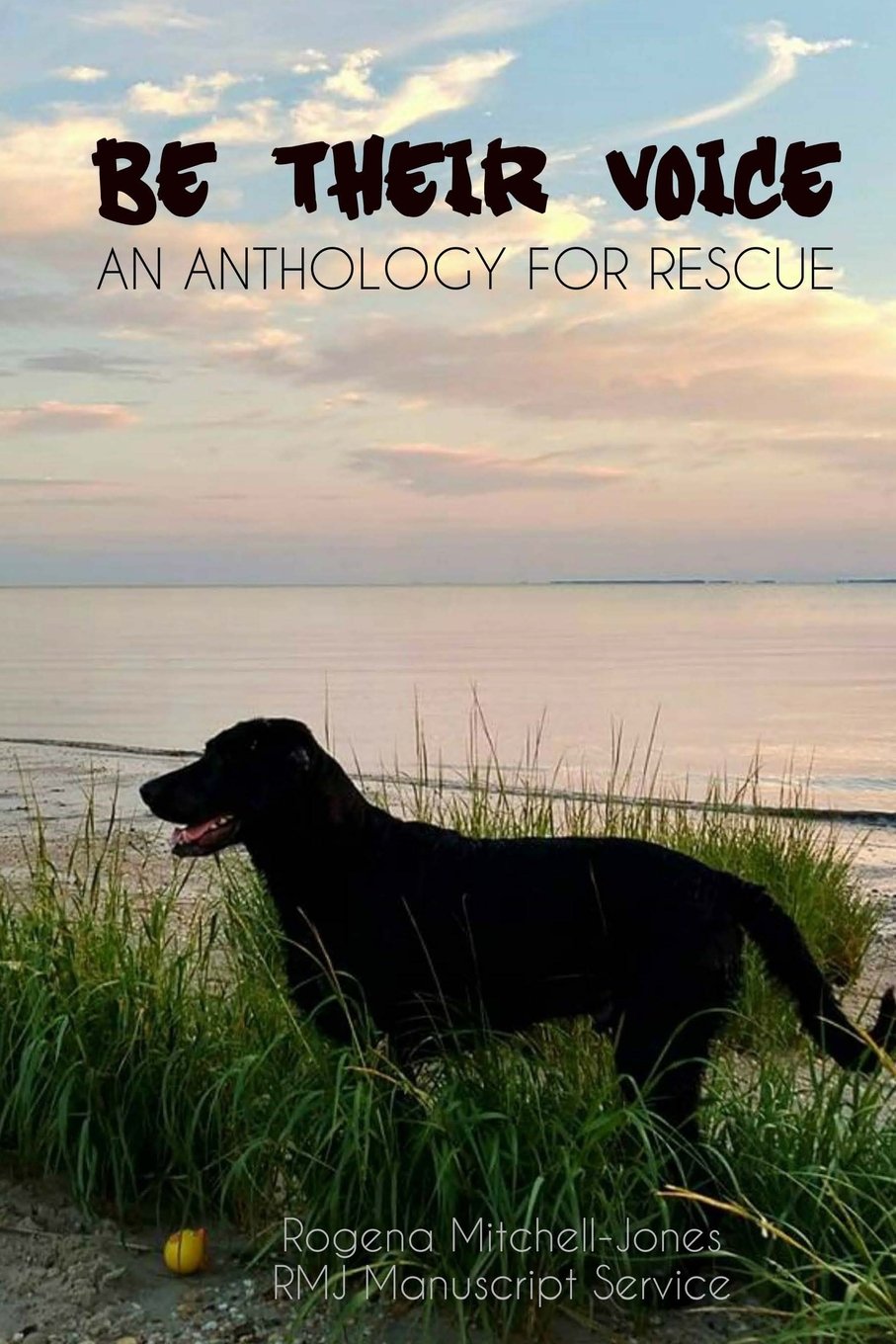 Be Their Voice: An Anthology for Rescue (Be Their Voice Anthologies) Pets