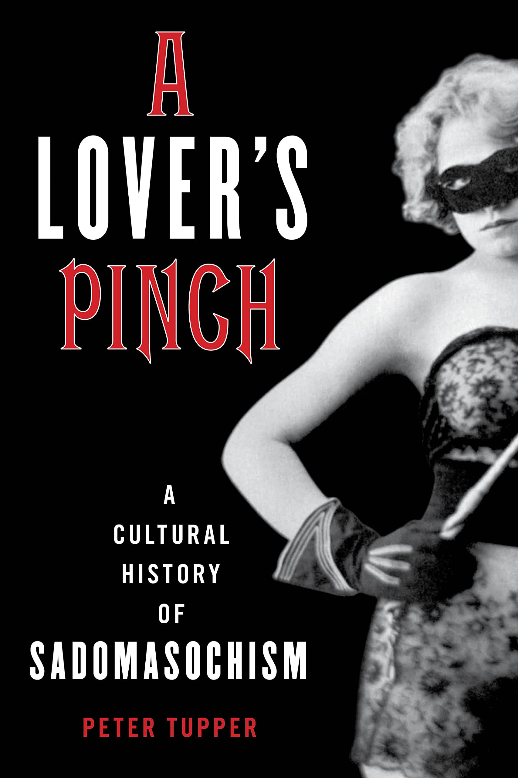 A Lover's Pinch: A Cultural History of Sadomasochism Partnership & Love