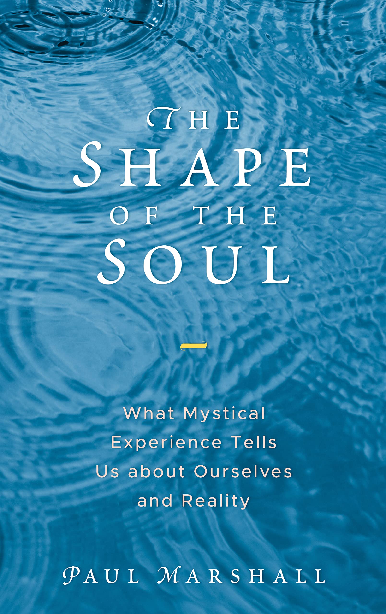 Shape of the Soul: What Mystical Experience Tells Us about Ourselves and Reality Philosophy