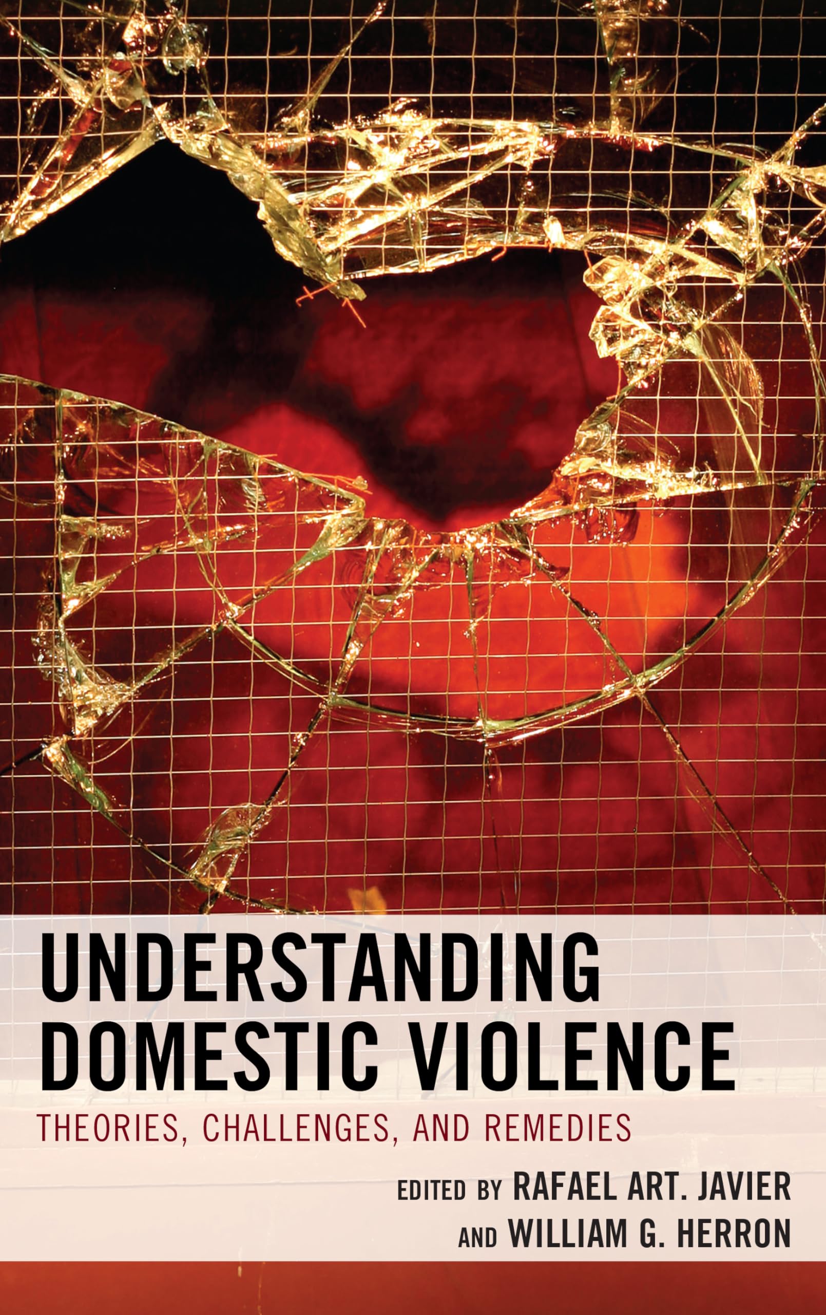 Understanding Domestic Violence: Theories, Challenges, and Remedies Medicine