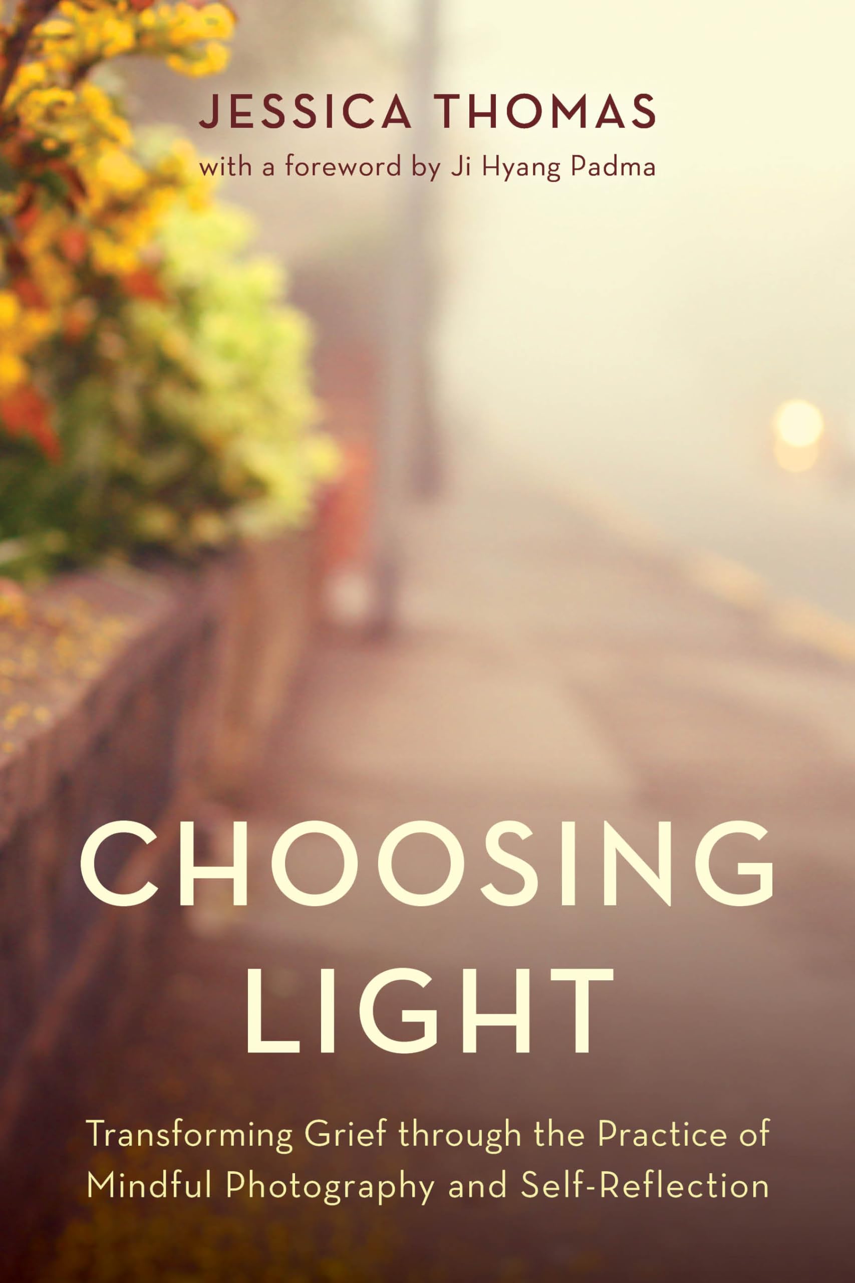 Choosing Light: Transforming Grief through the Practice of Mindful Photography and Self-Reflection Psychology