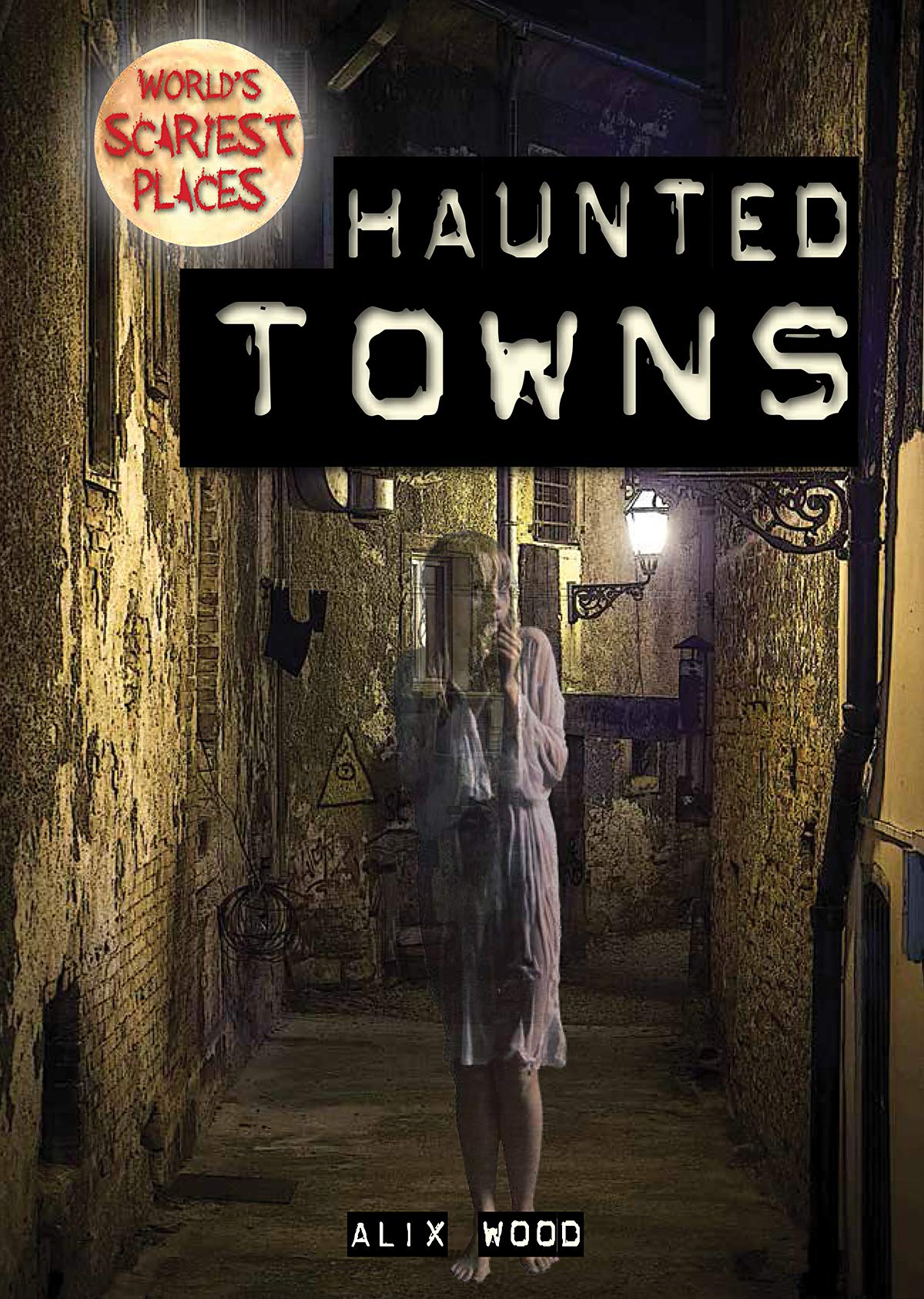 Haunted Towns (World's Scariest Places) Non-fiction