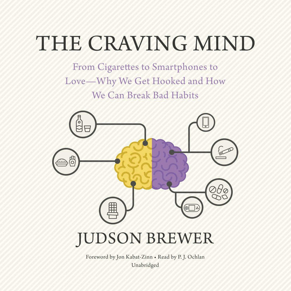 The Craving Mind: From Cigarettes to Smartphones to Love - Why We Get Hooked and How We Can Break Bad Habits book