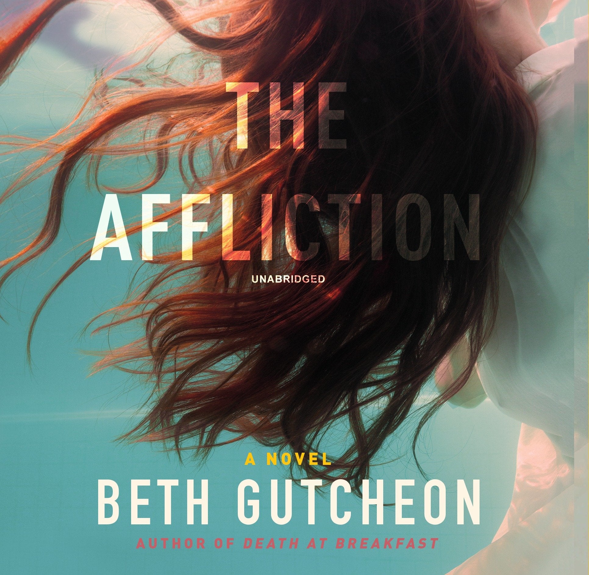 The Affliction (Maggie Detweiler and Hope Babbin, Band 2) Contemporary literature