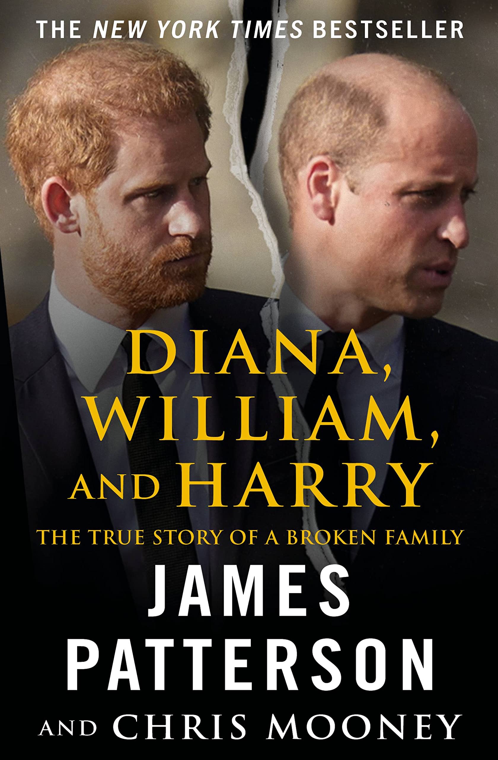 Diana, William, and Harry: The Heartbreaking Story of a Princess and Mother Social Sciences