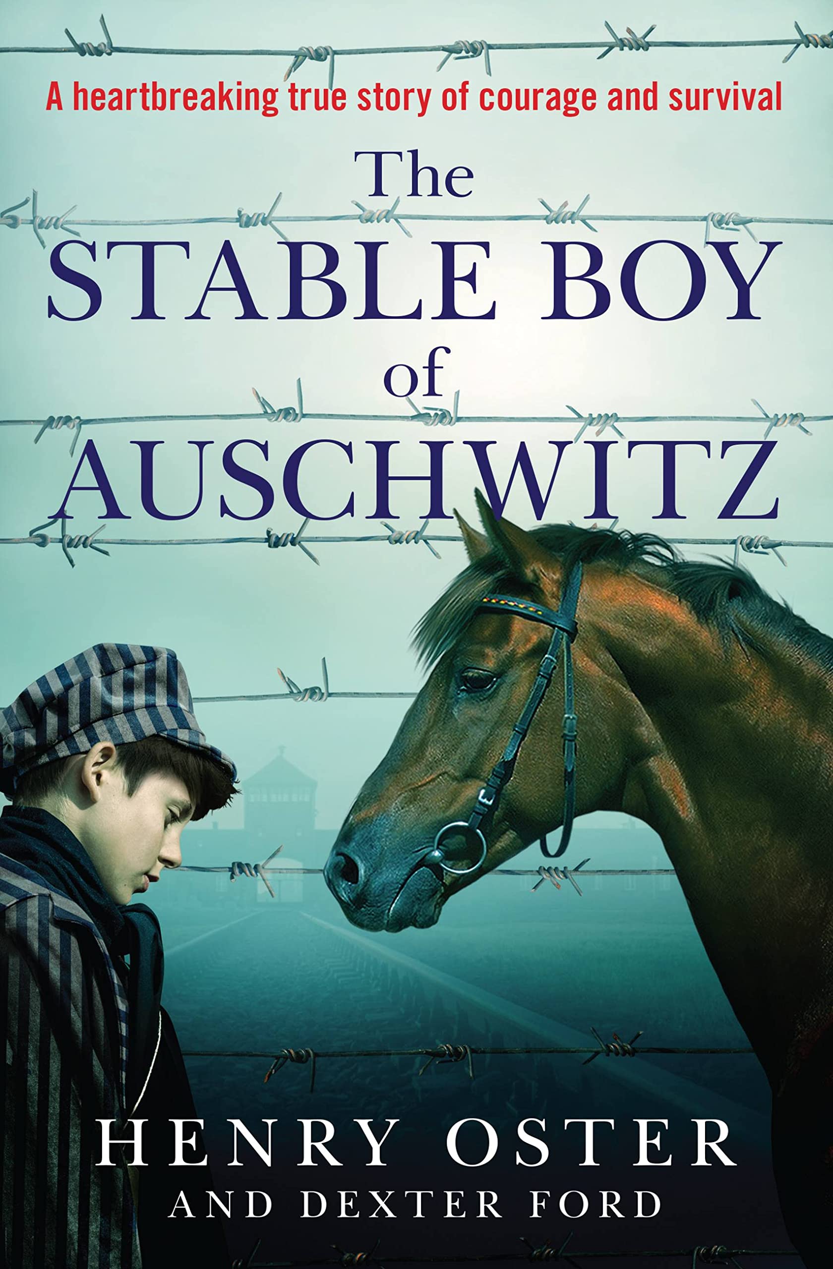 The Stable Boy of Auschwitz Memories