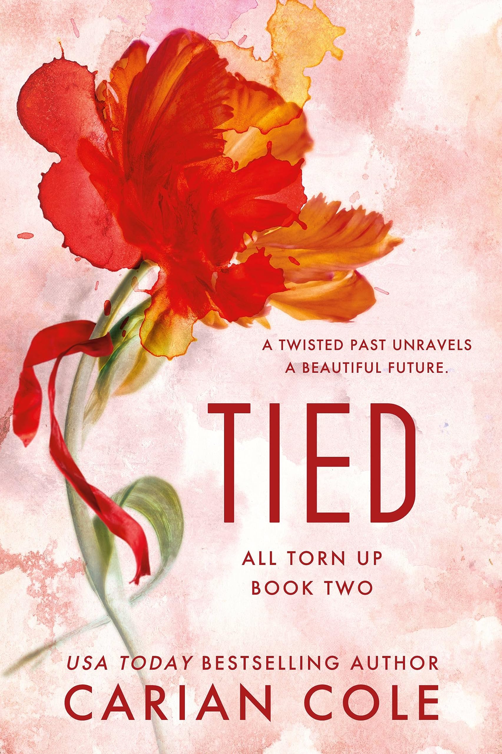 Tied (All Torn Up, 2) Contemporary literature
