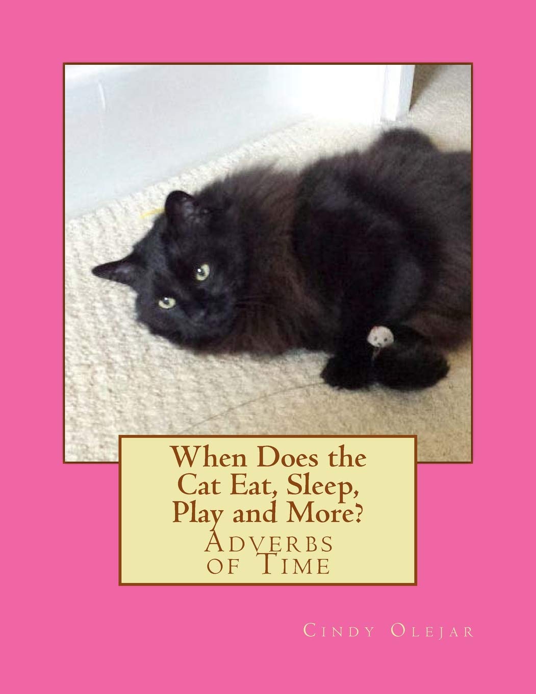 When Does the Cat Eat, Sleep, Play and More?: Adverbs of Time Education & Training