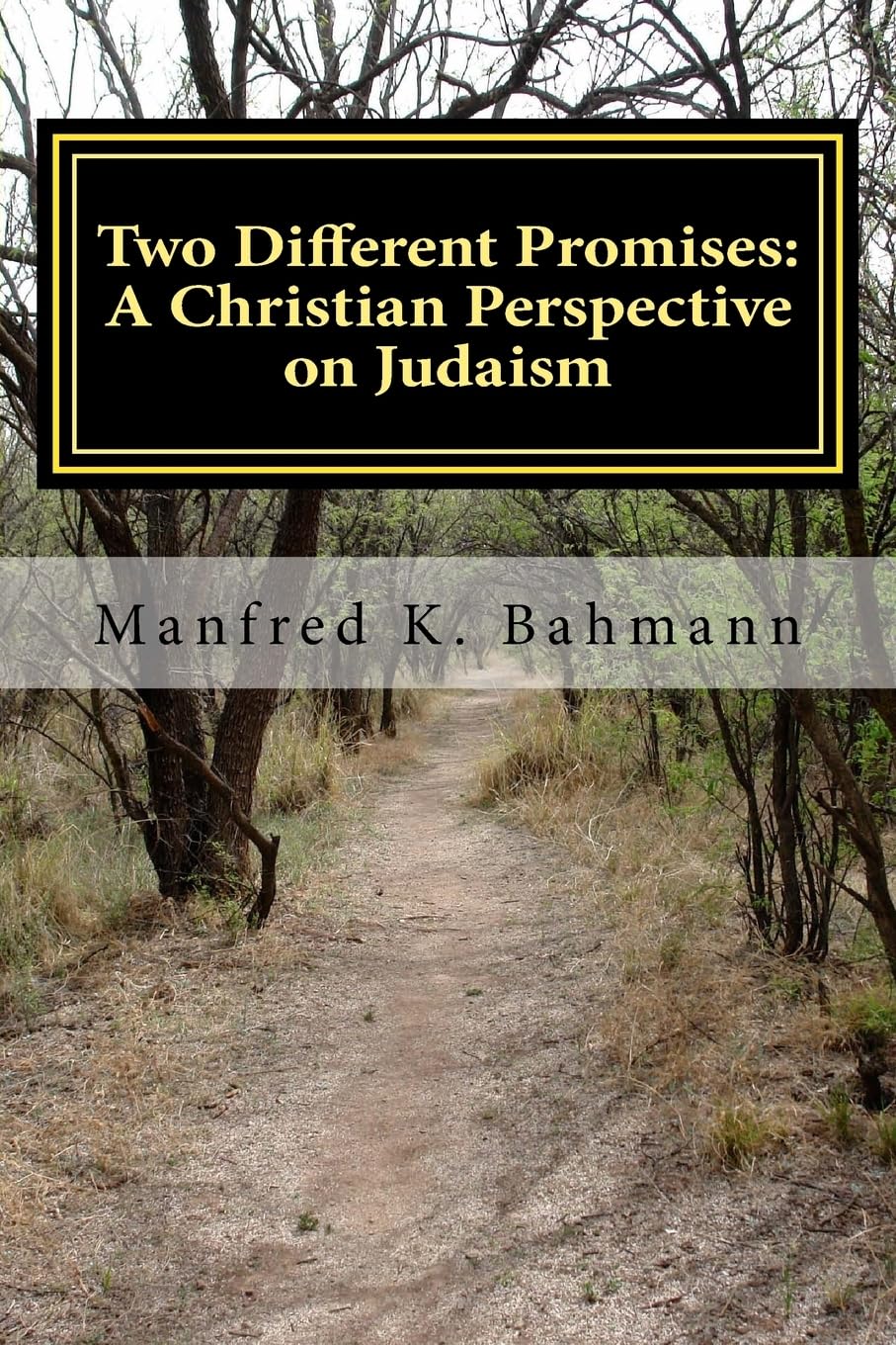 Two Different Promises: A Christian Perspective on Judaism (Beyond Absolutes, Band 2) Religion & Esotericism