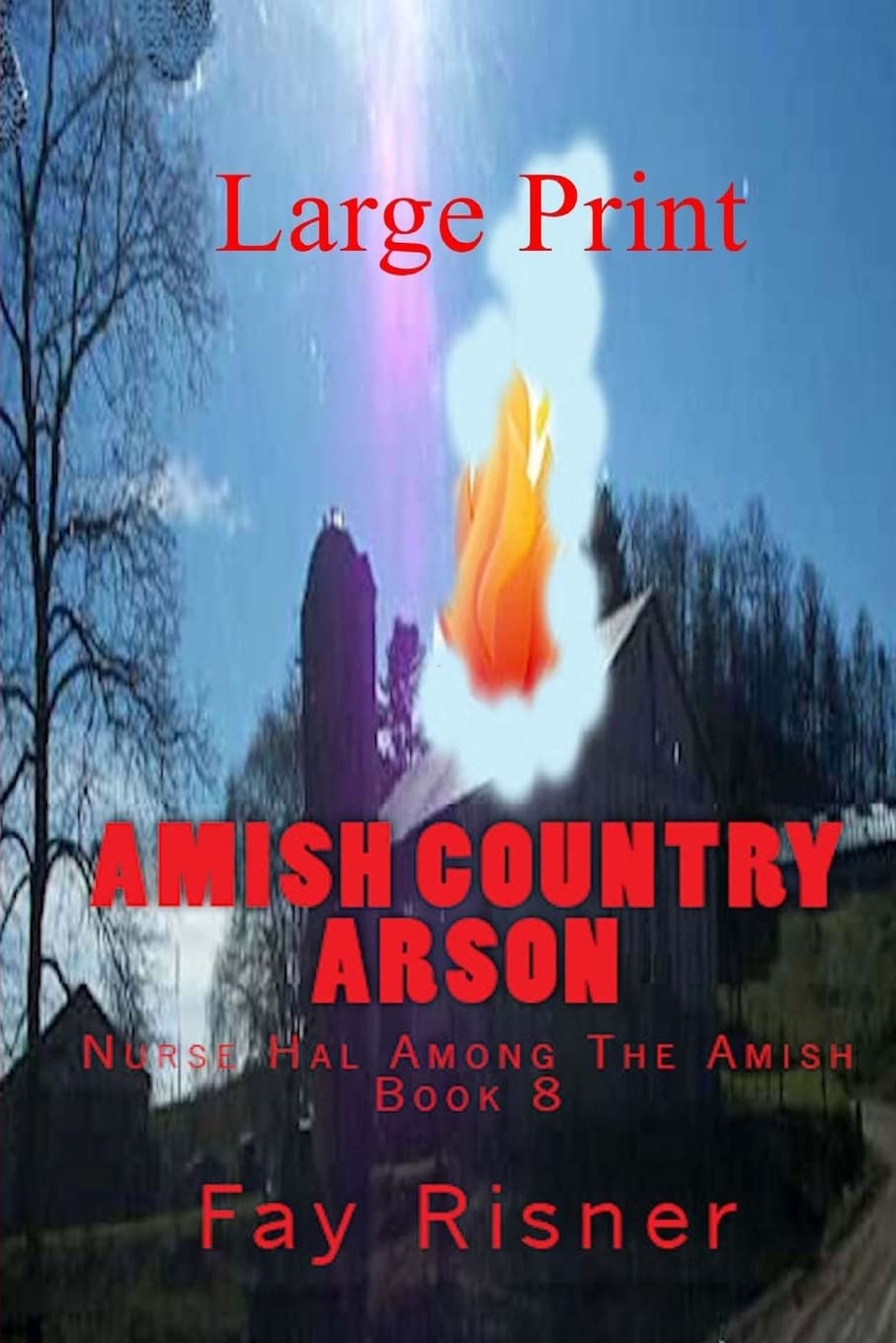 Amish Country Arson: Nurse Hal Among The Amish Religion & Esotericism