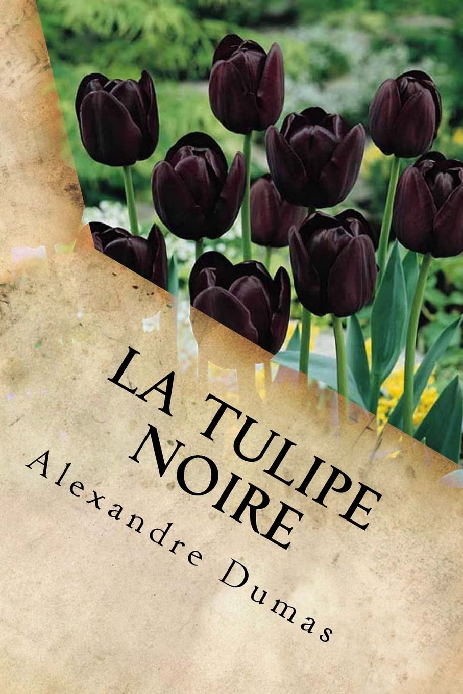 Product Image: La Tulipe Noire