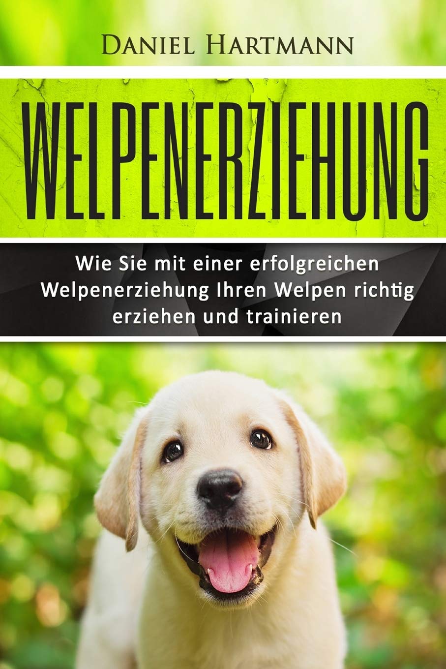 Welpenerziehung: Wie Sie mit einer erfolgreichen Welpenerziehung Ihren Welpen richtig erziehen und trainieren (Hundetraining, Welpentraining, Hundeerziehung, Band 1) Mathematics
