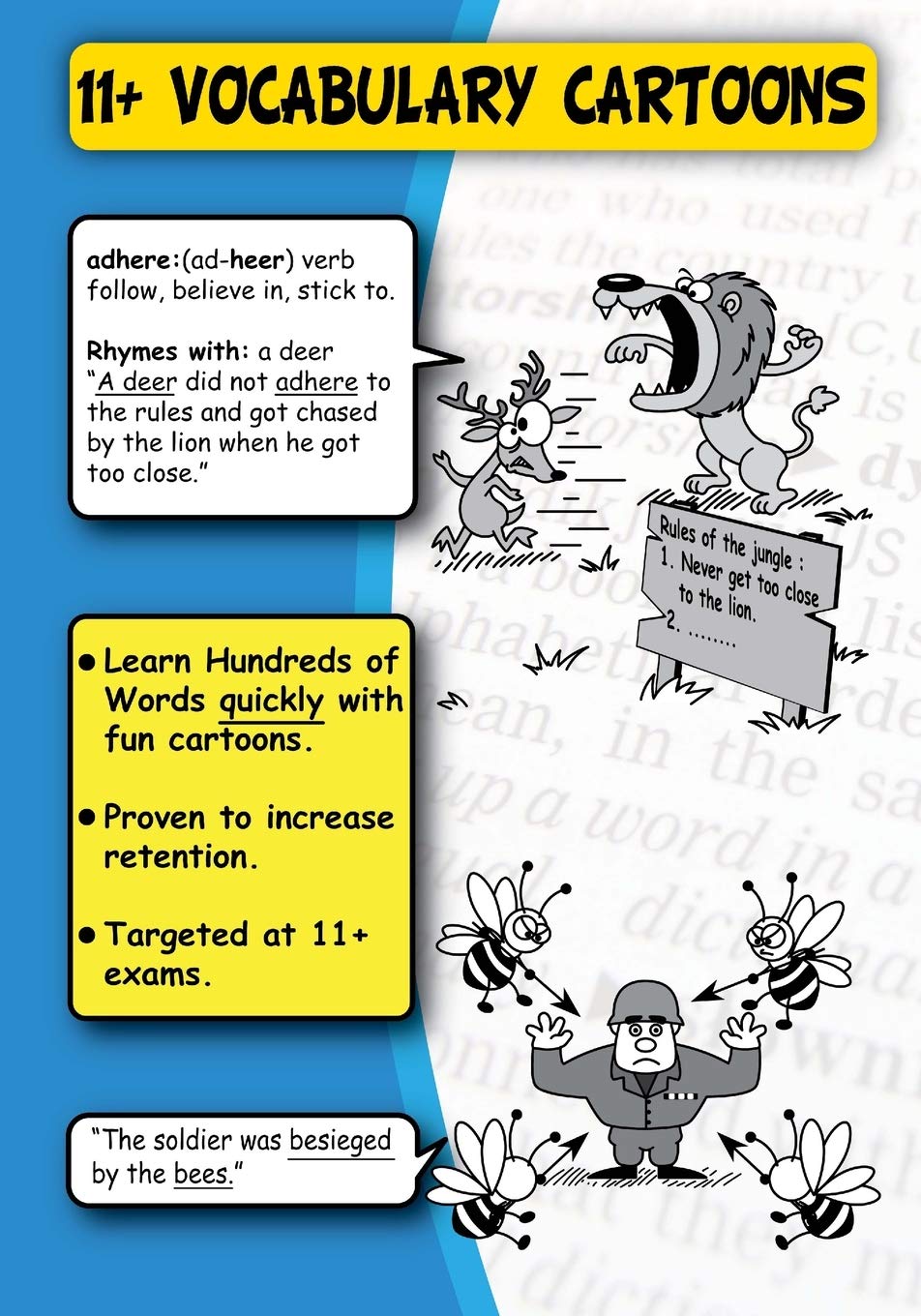 11+ Vocabulary Cartoons Learning & Reference