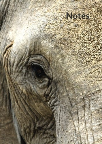 Notizbuch A4 - kariert - Elefant Eye: DIN A4 - Tagebuch - Dickhäuter Mathematics