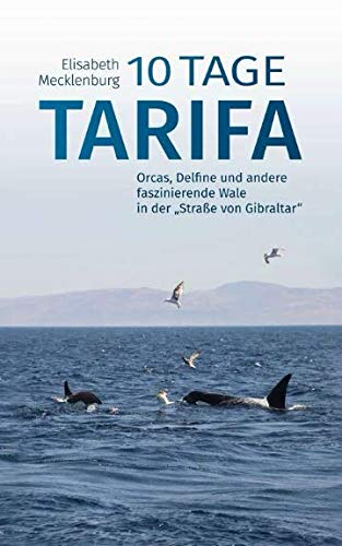 10 Tage Tarifa: Orcas, Delfine und andere faszinierende Wale in der "Straße von Gibraltar" Mathematics