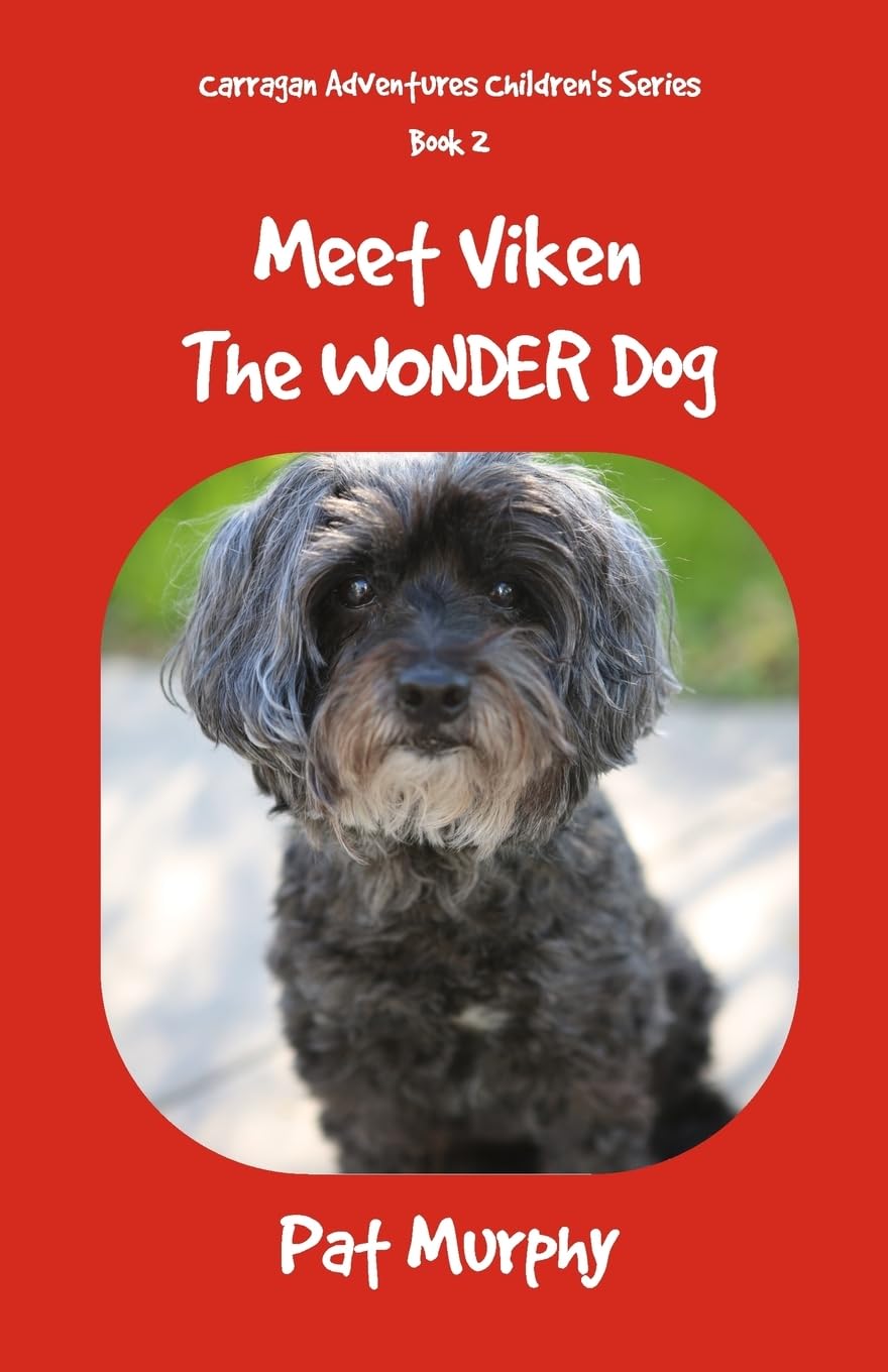 Meet Viken-The Wonder Dog (Carragan Adventures Children's Series, Band 2) Novels & Short Stories